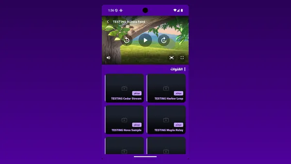 BenBen TV playlist view: sample streams with a video playing above